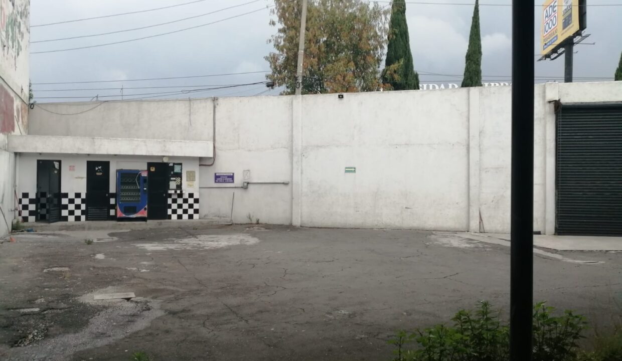 1000013028