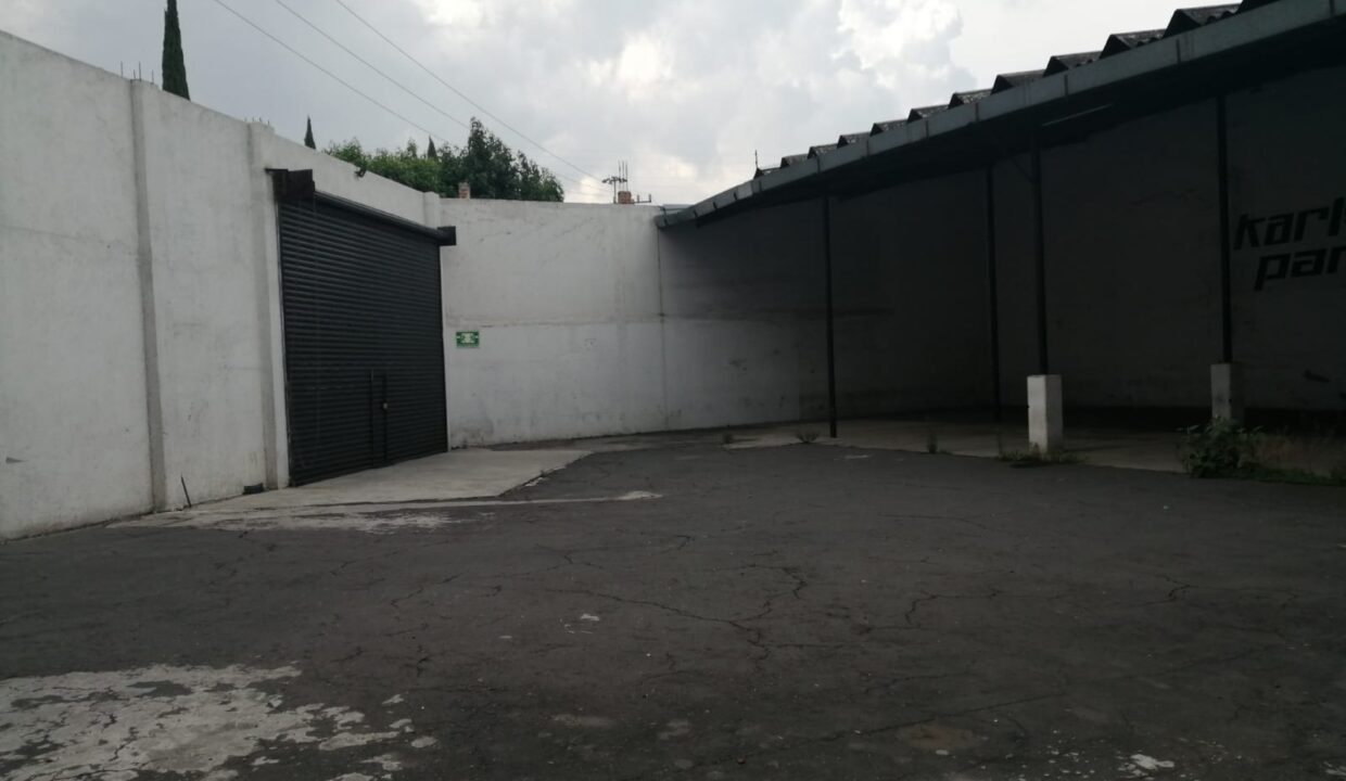 1000013036