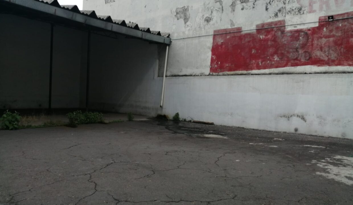 1000013038